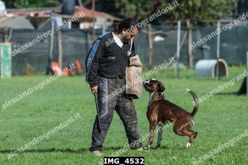 IMG_4532.jpg