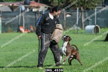IMG_4539.jpg