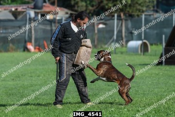 IMG_4541.jpg