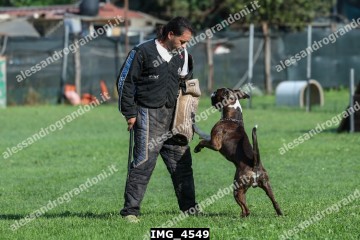 IMG_4549.jpg