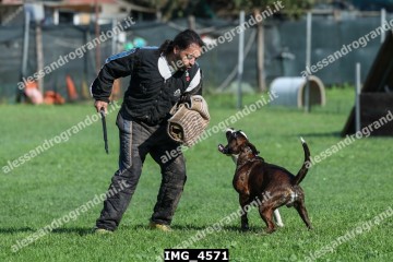 IMG_4571.jpg