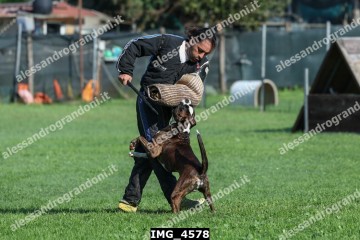 IMG_4578.jpg