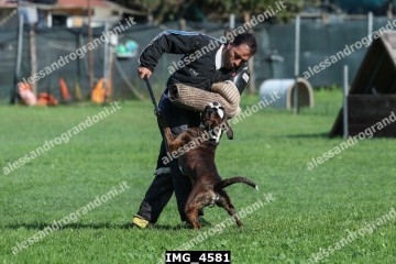 IMG_4581.jpg