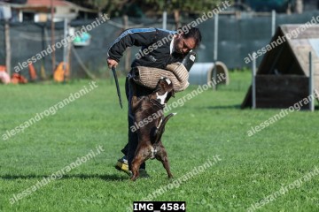 IMG_4584.jpg