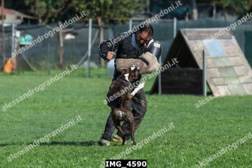 IMG_4590.jpg