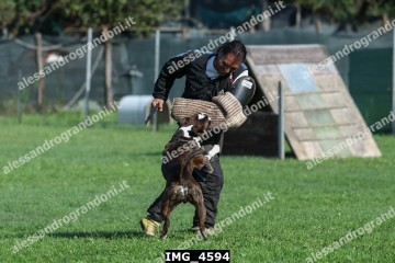 IMG_4594.jpg