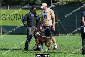 IMG_4658.jpg