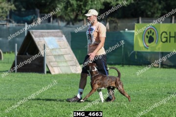 IMG_4663.jpg