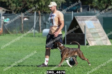 IMG_4676.jpg