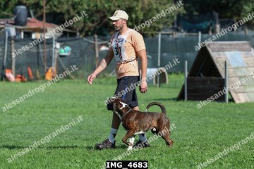 IMG_4683.jpg