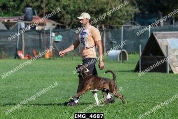 IMG_4687.jpg