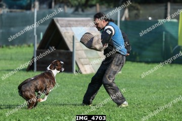 IMG_4703.jpg