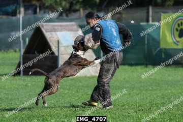 IMG_4707.jpg