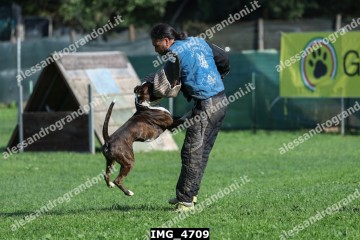 IMG_4709.jpg