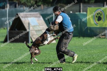 IMG_4745.jpg