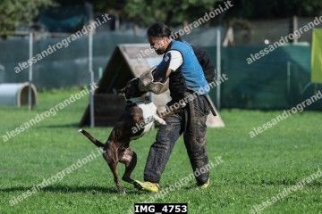 IMG_4753.jpg