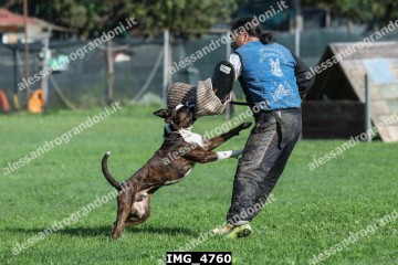 IMG_4760.jpg