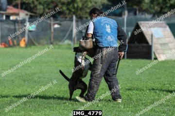 IMG_4779.jpg