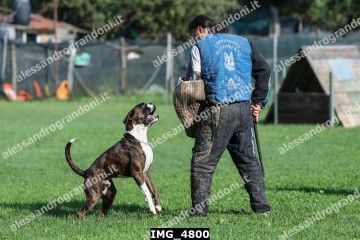 IMG_4800.jpg