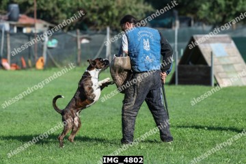 IMG_4802.jpg