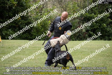 IMG_2792.jpg