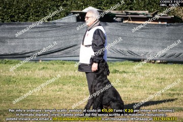 IMG_4281.jpg