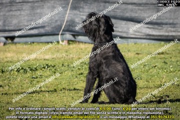 IMG_4295.jpg