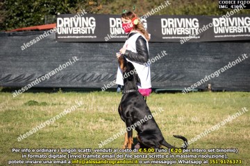 IMG_4309.jpg