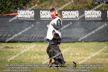 IMG_4311.jpg