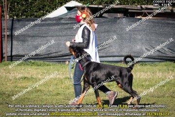 IMG_4314.jpg