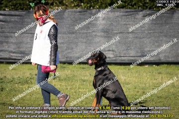 IMG_4326.jpg