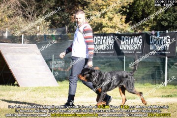 IMG_4350.jpg
