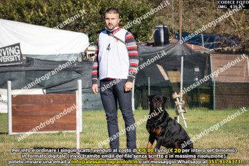 IMG_4352.jpg