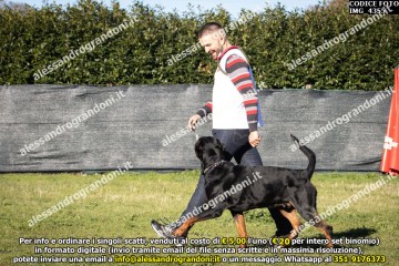 IMG_4355.jpg