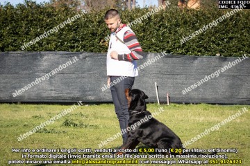 IMG_4363.jpg