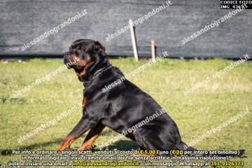 IMG_4365.jpg