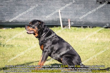 IMG_4366.jpg