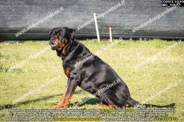 IMG_4367.jpg