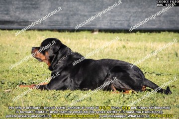 IMG_4373.jpg