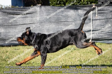 IMG_4375.jpg