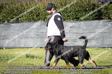 IMG_4392.jpg