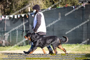 IMG_4431.jpg