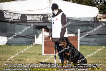 IMG_4435.jpg