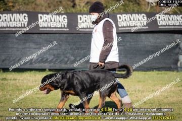 IMG_4436.jpg