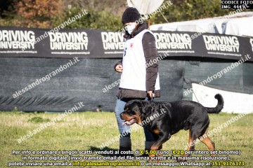 IMG_4445.jpg
