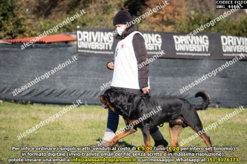 IMG_4446.jpg