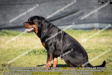 IMG_4448.jpg