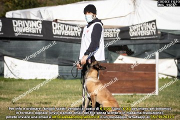 IMG_4473.jpg
