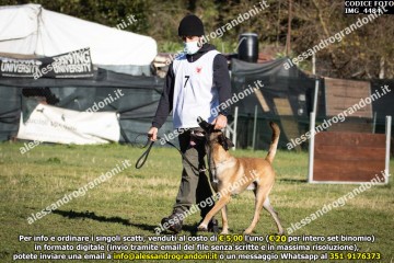 IMG_4484.jpg