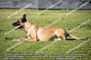 IMG_4486.jpg